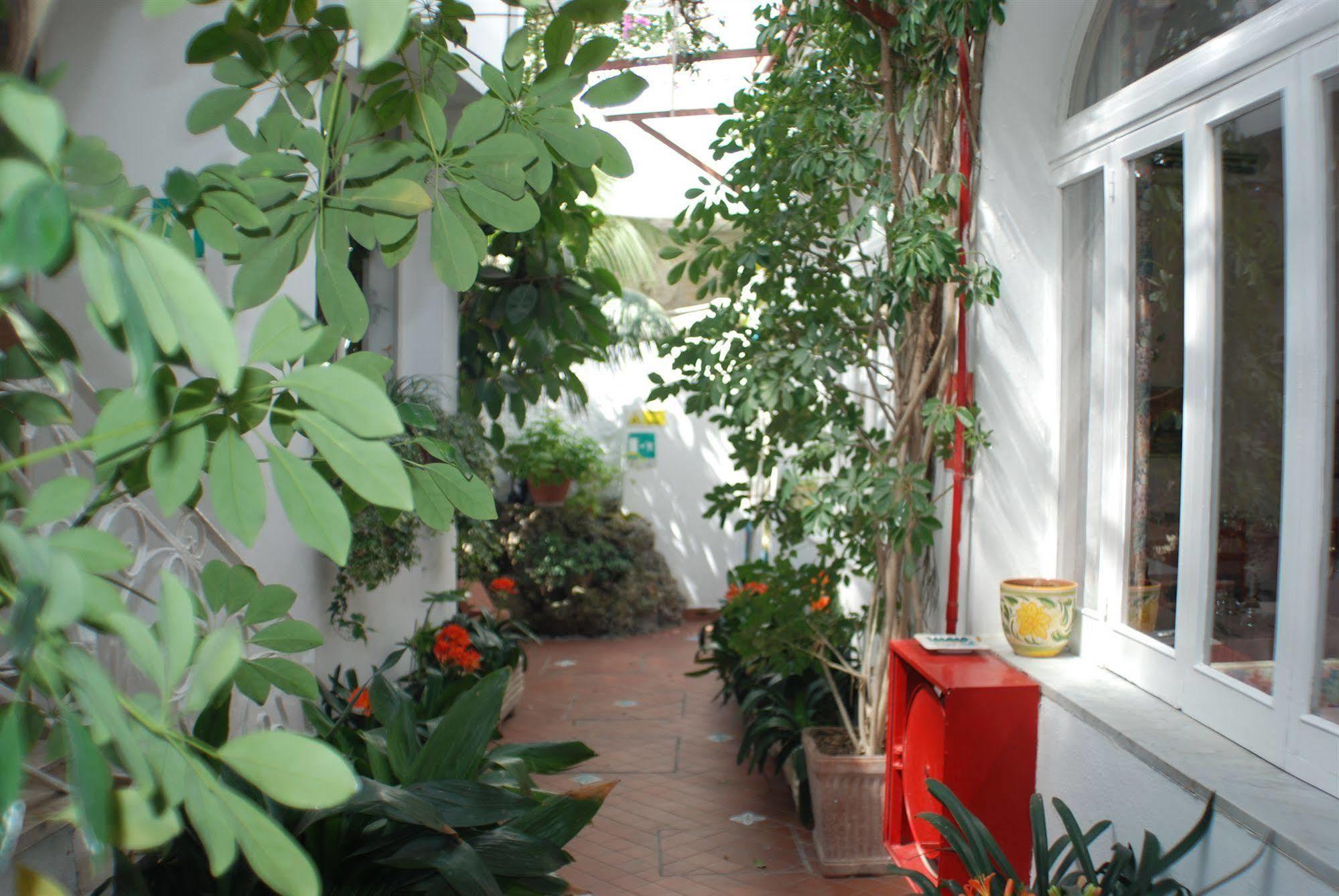 Hotel La Palma Sant'Angelo  Exteriér fotografie