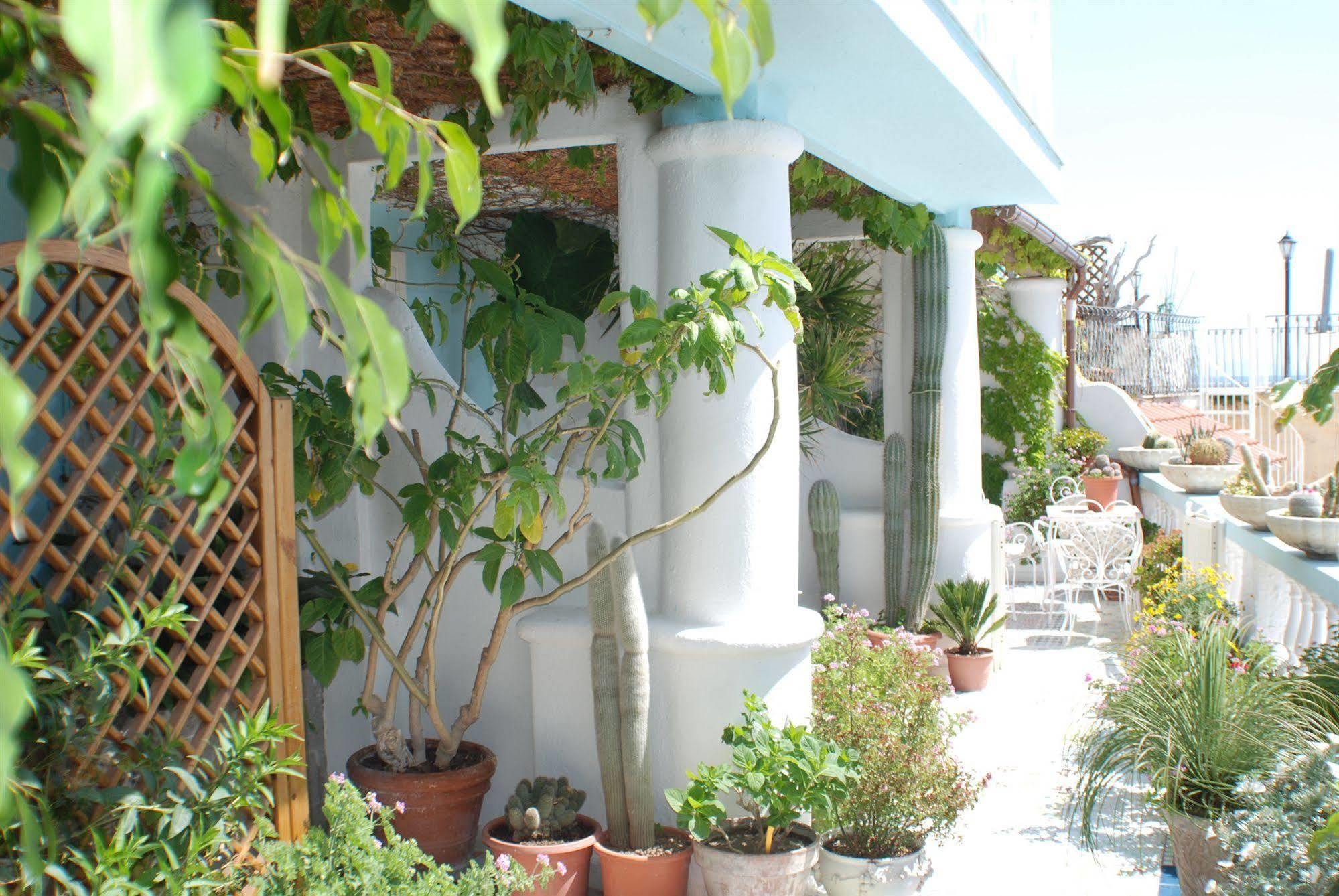 Hotel La Palma Sant'Angelo  Exteriér fotografie